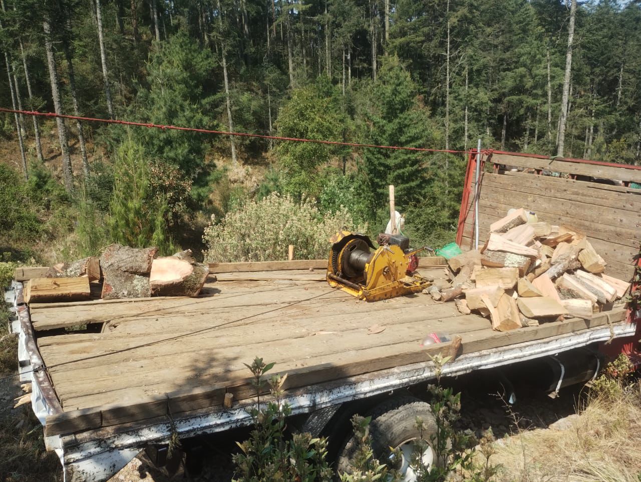 Cumplimenta la PFM orden de cateo en 79 hectáreas de bosque en Tlaxco